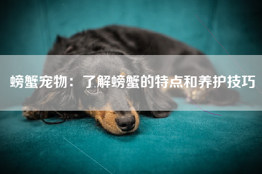 螃蟹宠物：了解螃蟹的特点和养护技巧