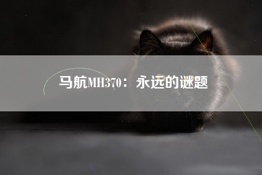 马航MH370：永远的谜题