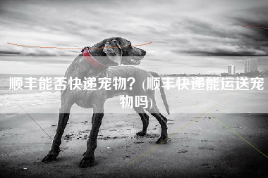 顺丰能否快递宠物？(顺丰快递能运送宠物吗)