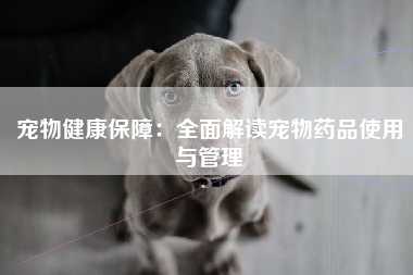 宠物健康保障：全面解读宠物药品使用与管理
