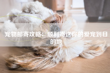 宠物邮寄攻略：顺利寄送你的爱宠到目的地