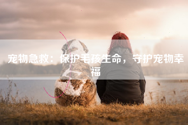 宠物急救：保护毛孩生命，守护宠物幸福