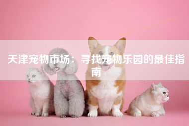 天津宠物市场：寻找宠物乐园的最佳指南