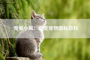 宠爱小窝：百变宠物图标百科