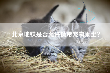 北京地铁是否允许携带宠物乘坐？