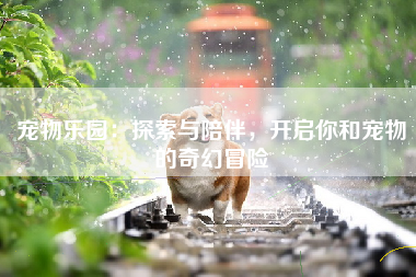 宠物乐园：探索与陪伴，开启你和宠物的奇幻冒险