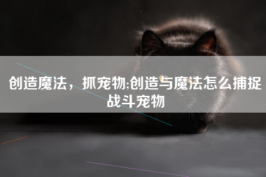 创造魔法，抓宠物;创造与魔法怎么捕捉战斗宠物