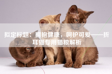 拟定标题：拥抱健康，呵护可爱——折耳猫专用猫粮解析