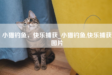 小猫钓鱼，快乐捕获_小猫钓鱼,快乐捕获图片