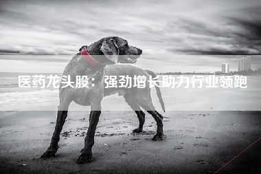 医药龙头股：强劲增长助力行业领跑