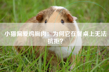 小猫偏爱鸡胸肉：为何它在餐桌上无法抗拒？