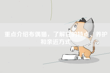 重点介绍布偶猫，了解它的特点、养护和亲近方式