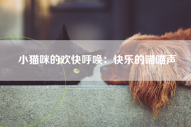 小猫咪的欢快呼唤：快乐的喵喵声