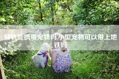 轻轨能携带宠物吗,小型宠物可以带上地铁吗