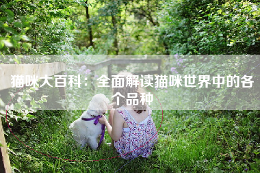 猫咪大百科：全面解读猫咪世界中的各个品种