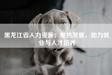 黑龙江省人力资源：聚焦发展，助力就业与人才培养