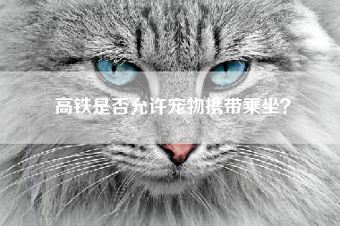 高铁是否允许宠物携带乘坐？