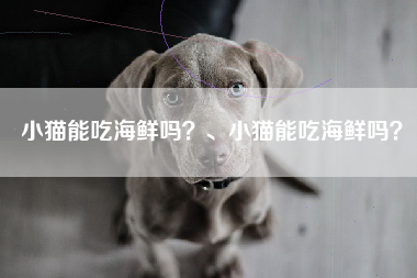 小猫能吃海鲜吗？、小猫能吃海鲜吗？