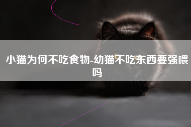 小猫为何不吃食物-幼猫不吃东西要强喂吗