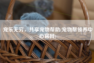 宠乐无穷，共享宠物帮助(宠物帮领养中心官网)