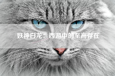 妖神白龙：西游中的至高存在