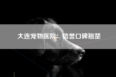 大连宠物医院：信誉口碑翘楚
