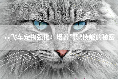 qq飞车宠物强化：培养驾驶技能的秘密
