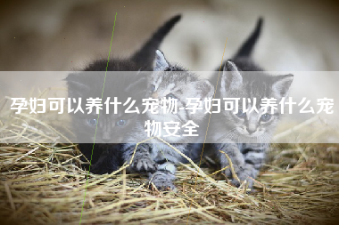 孕妇可以养什么宠物-孕妇可以养什么宠物安全