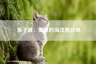 鱼子酱：美味的海洋黑珍珠