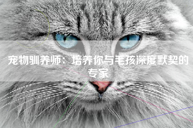 宠物驯养师：培养你与毛孩深度默契的专家