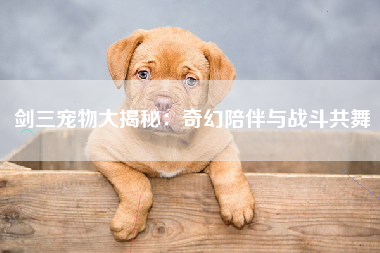 剑三宠物大揭秘：奇幻陪伴与战斗共舞