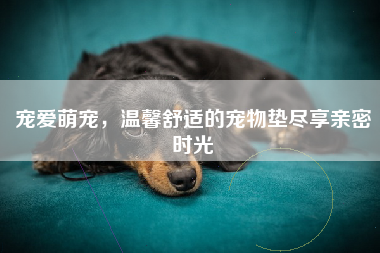 宠爱萌宠，温馨舒适的宠物垫尽享亲密时光