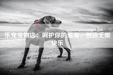 乐宠宠物店：呵护你的爱宠，创造无限快乐