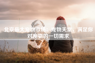 北京最大宠物市场：宠物天堂，满足你对宠物的一切需求