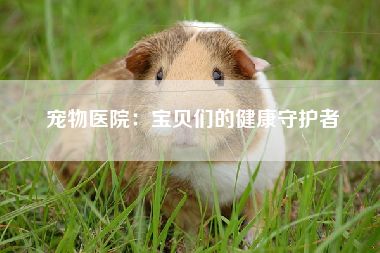 宠物医院：宝贝们的健康守护者