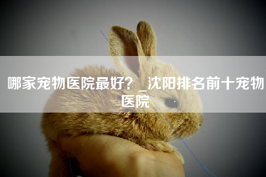 哪家宠物医院最好？_沈阳排名前十宠物医院