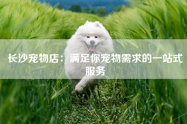 长沙宠物店：满足你宠物需求的一站式服务