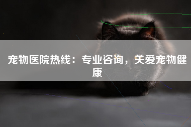 宠物医院热线：专业咨询，关爱宠物健康