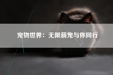 宠物世界：无限萌宠与你同行