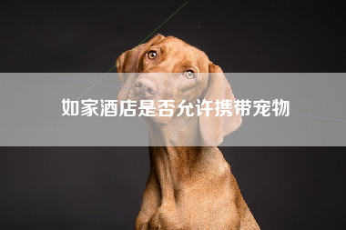 如家酒店是否允许携带宠物