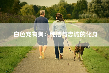 白色宠物狗：纯洁与忠诚的化身