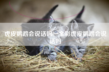 虎皮鹦鹉会说话吗—金彩虎皮鹦鹉会说话吗