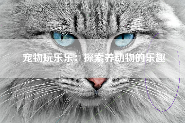 宠物玩乐乐：探索养动物的乐趣