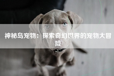 神秘岛宠物：探索奇幻世界的宠物大冒险