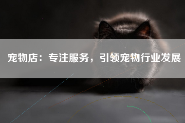 宠物店：专注服务，引领宠物行业发展
