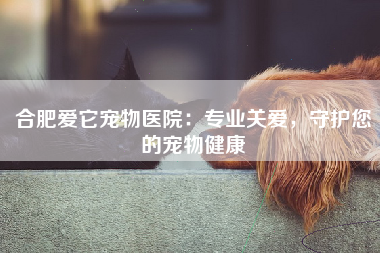 合肥爱它宠物医院：专业关爱，守护您的宠物健康