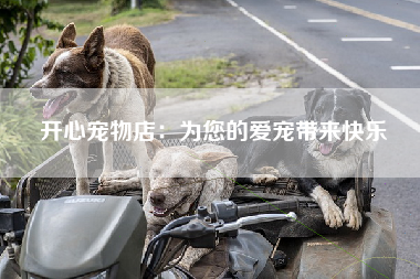 开心宠物店：为您的爱宠带来快乐