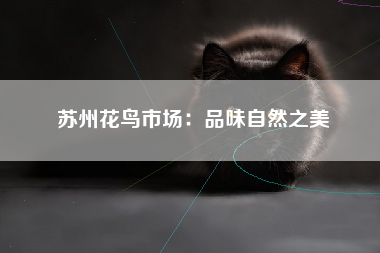苏州花鸟市场：品味自然之美