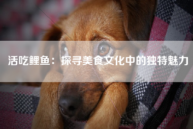 活吃鲤鱼：探寻美食文化中的独特魅力