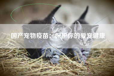 国产宠物疫苗：保护你的爱宠健康